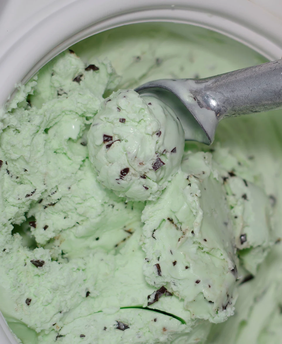 Mint Chocolate Chip