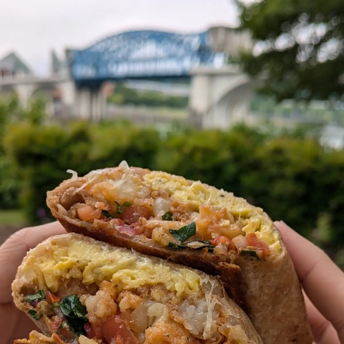 Breakfast Burrito