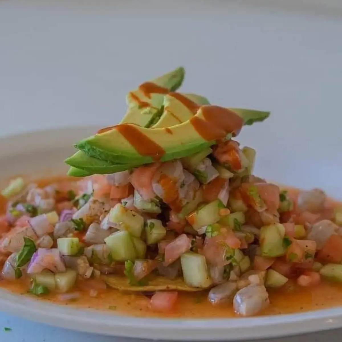 Ceviche Mixto