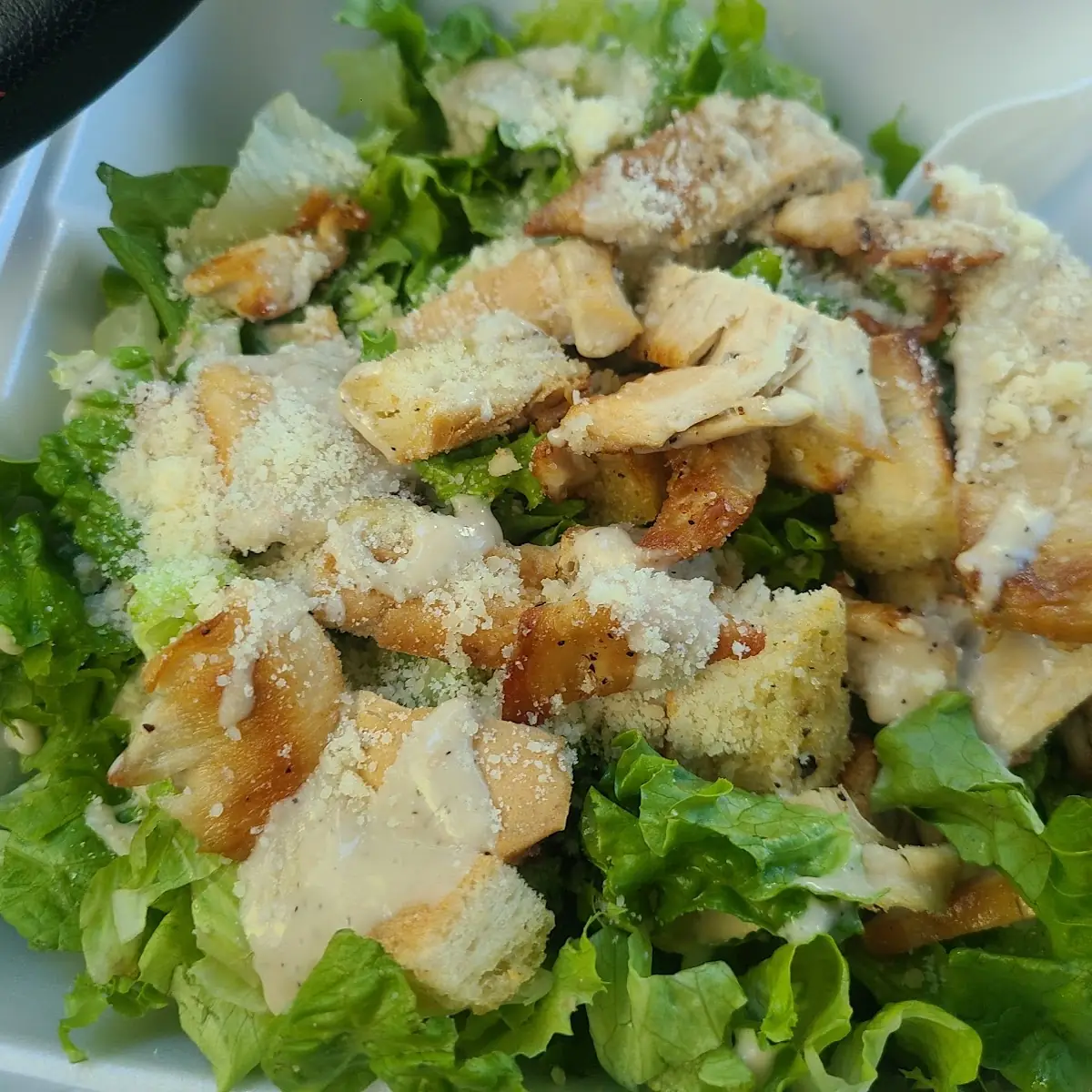 Chicken Caesar Salad