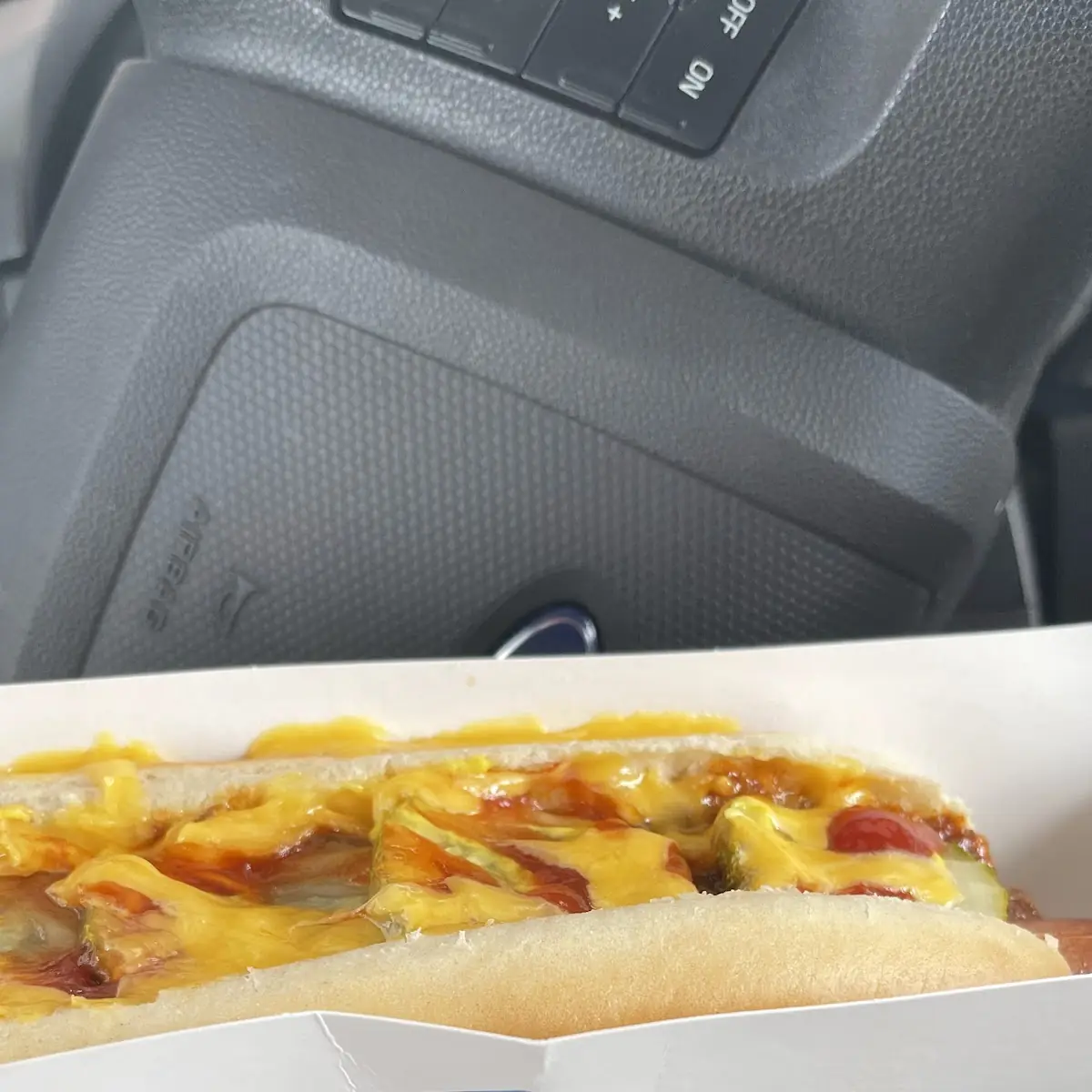 Hot Dog
