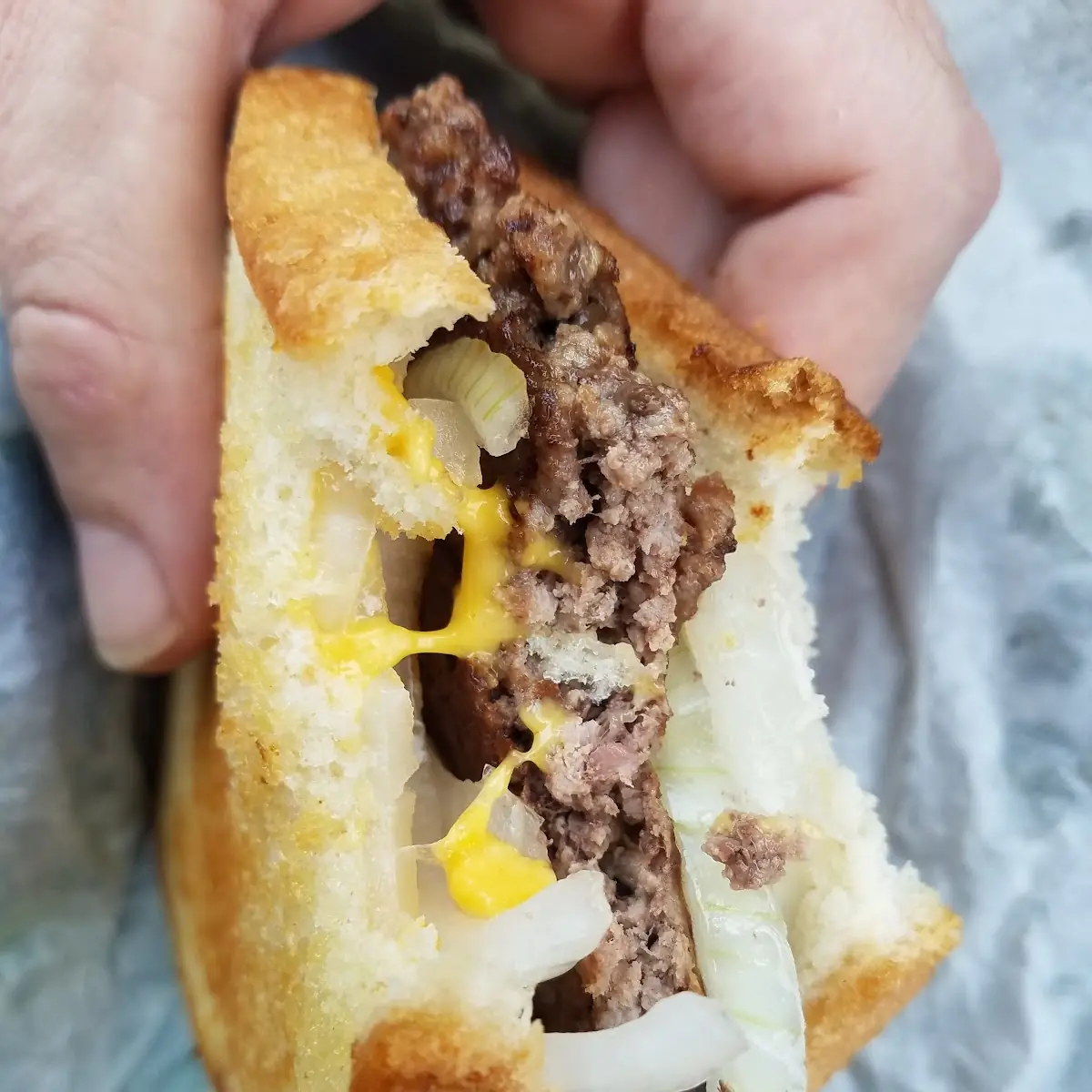 Grilled Cheese Hamburger with Extra Onions