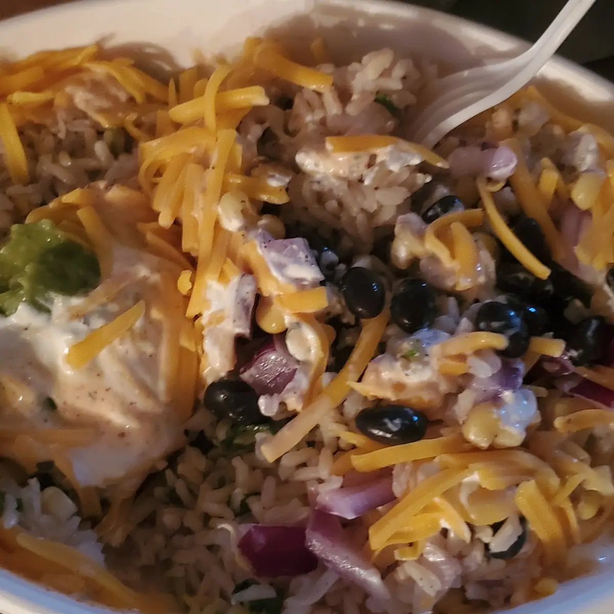 Burrito Bowl