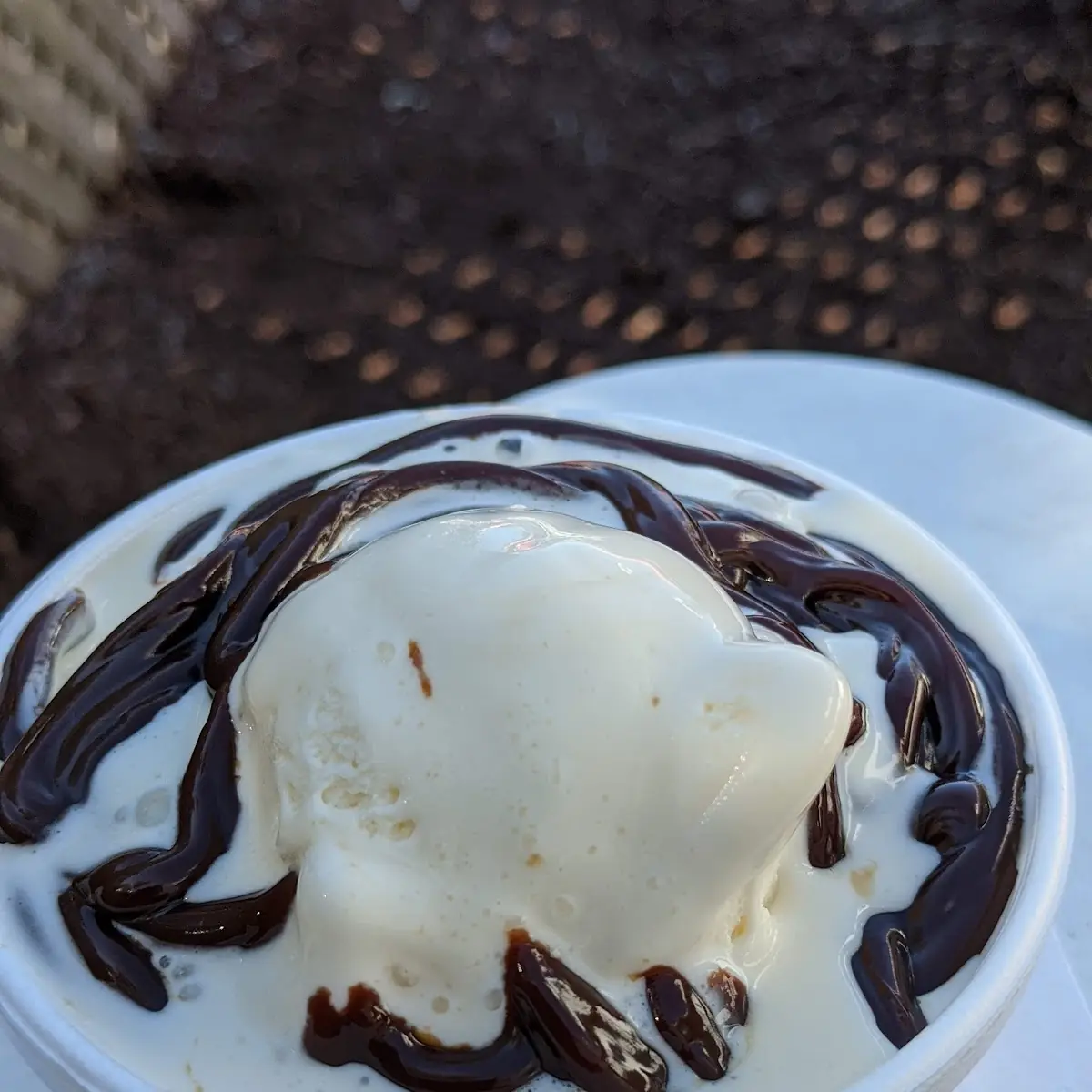 Vanilla Custard with Hot Fudge