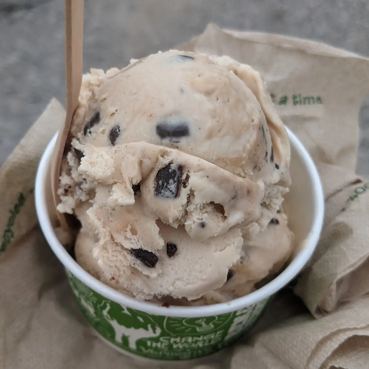 Non-Dairy Cookie Dough & Chocolate Chips