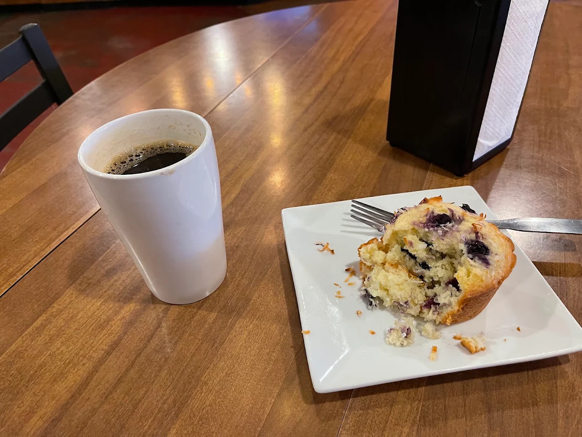 Blueberry Muffin