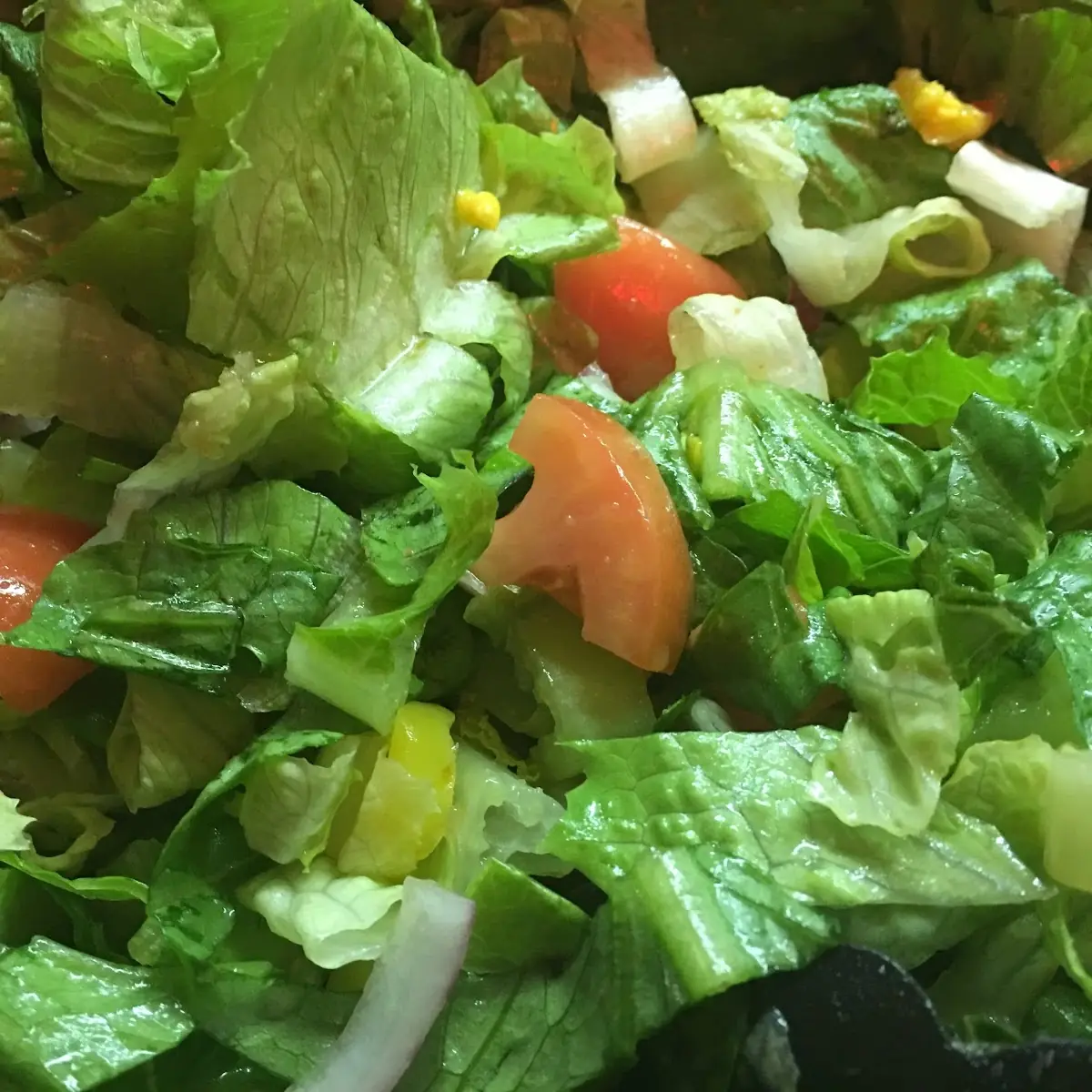Garden Salad