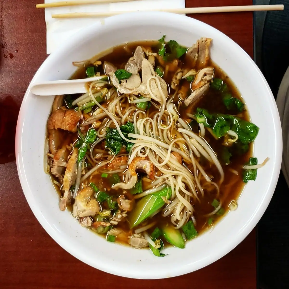 Roasted Duck Noodle Soup
