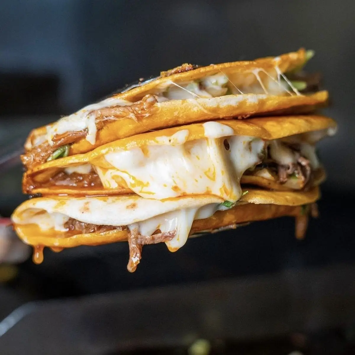 Al Pastor Quesadilla