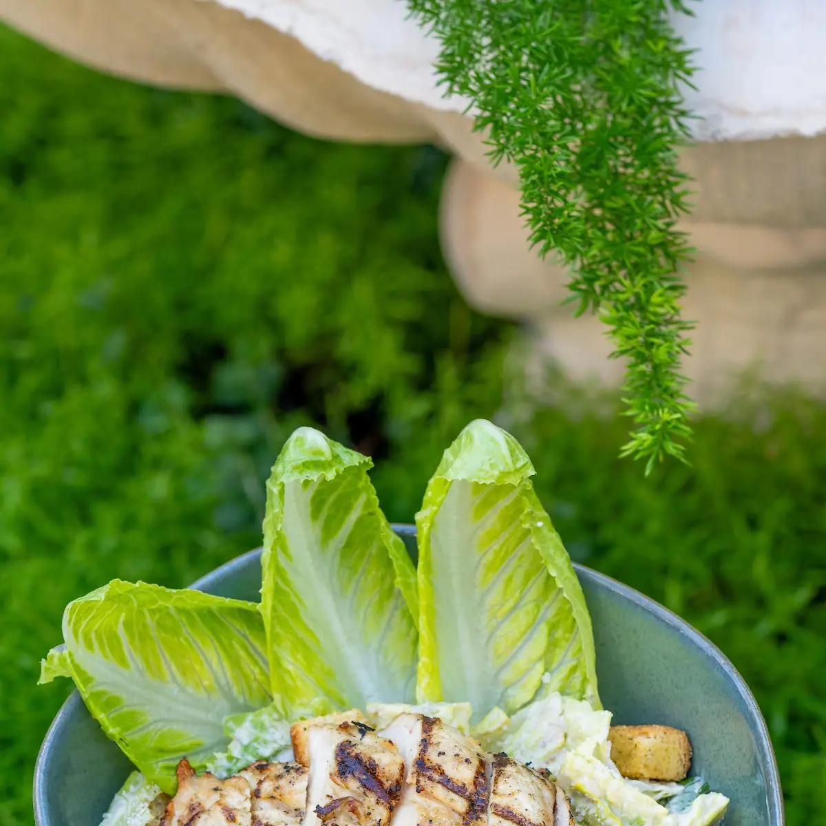 Chicken Caesar VT