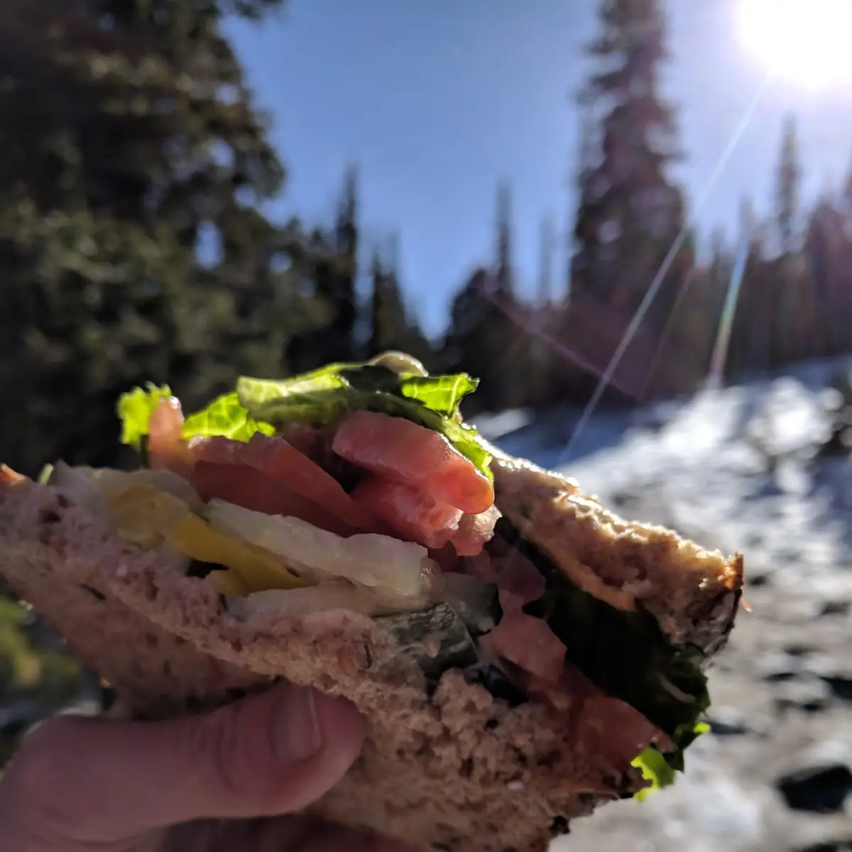 Roast Beef on Wheat