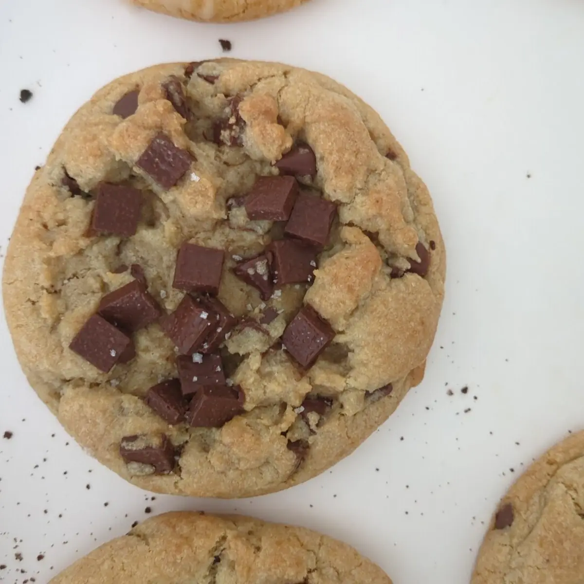 Chocolate Chip Mini