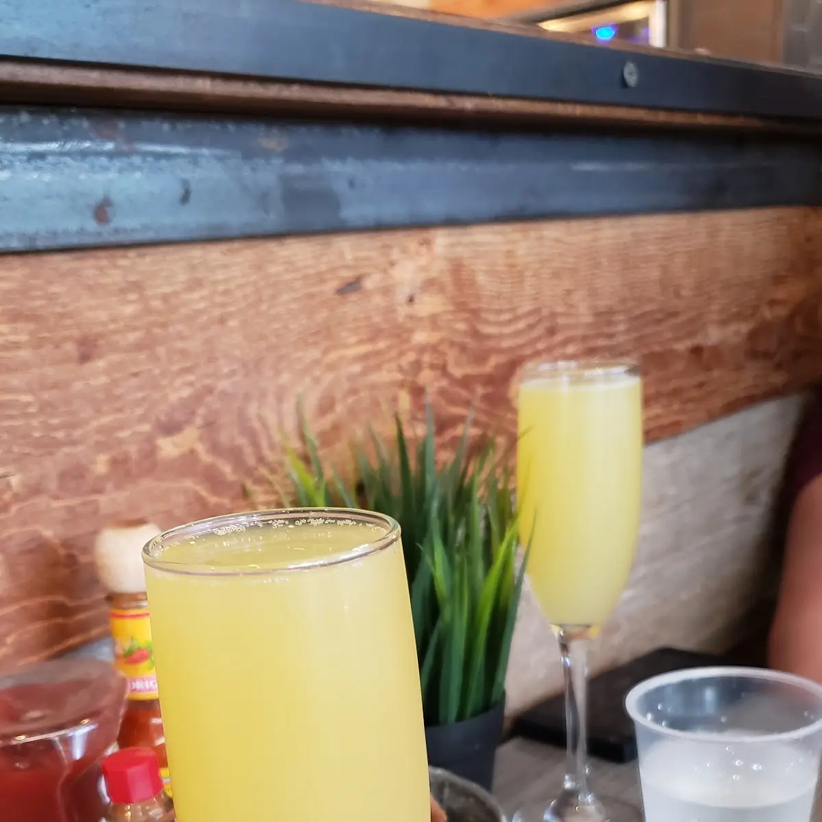 Mimosa Flight