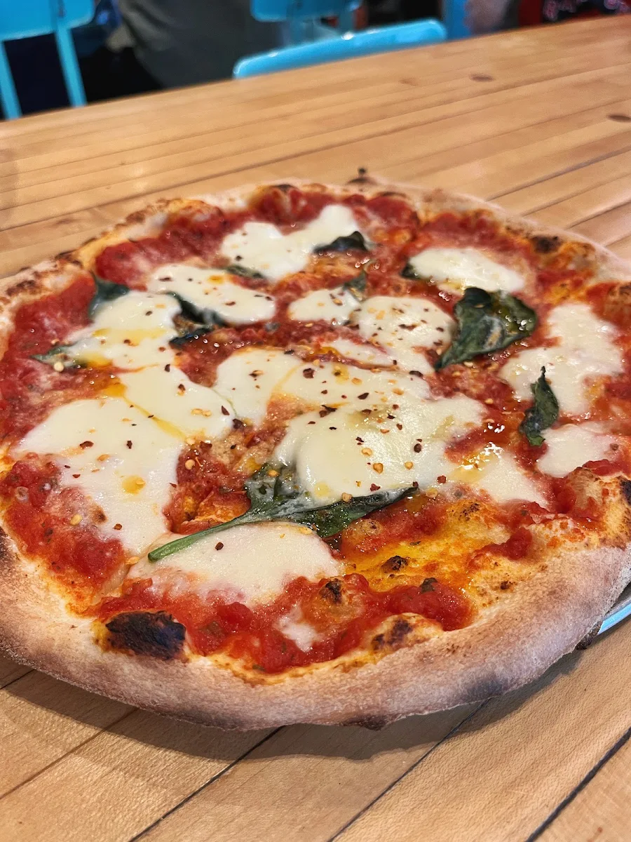 Margherita Pizza, Salt & Tobacco Pizzeria