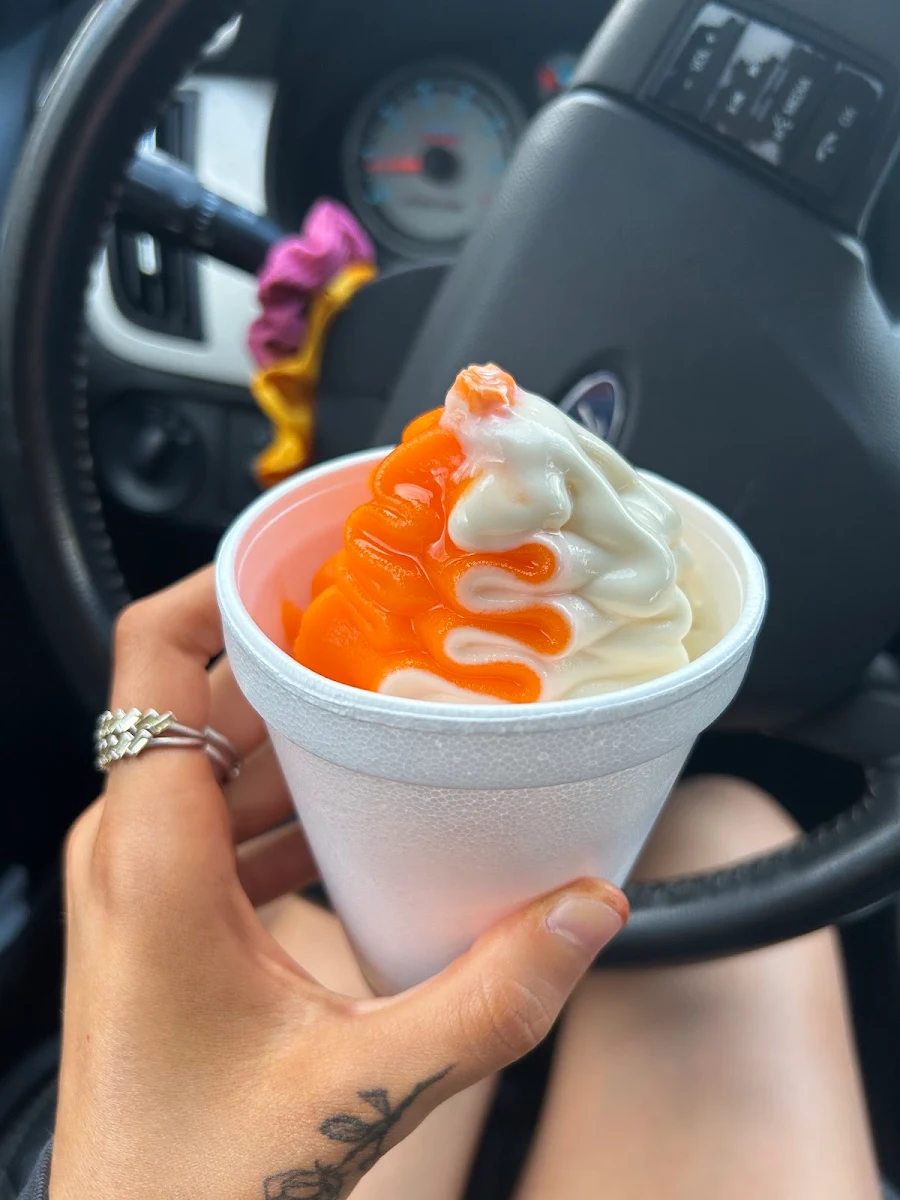 Orange Vanilla Ice Cream