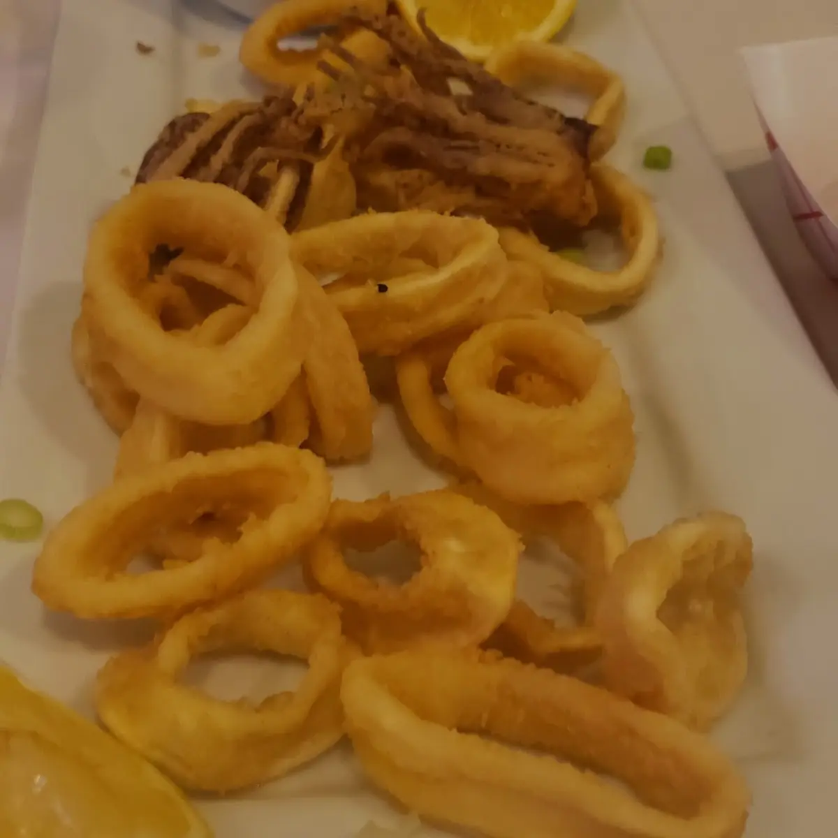 Fried Calamari