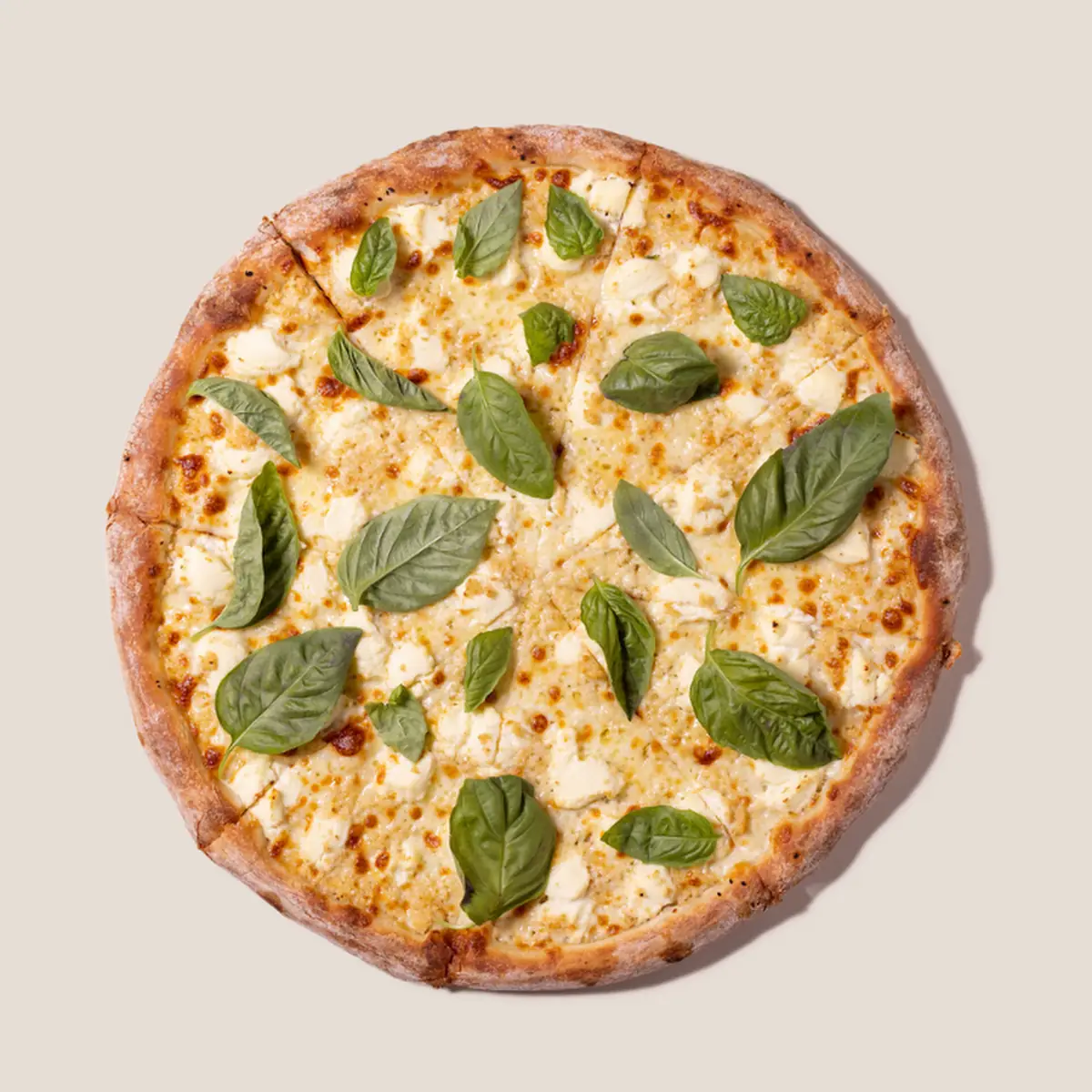 Pizza Margherita