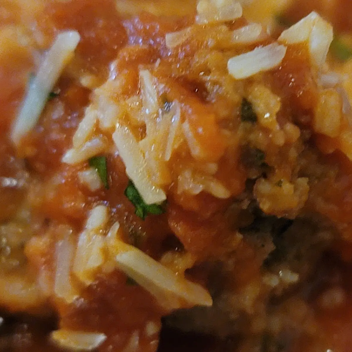 World Famous Meatball