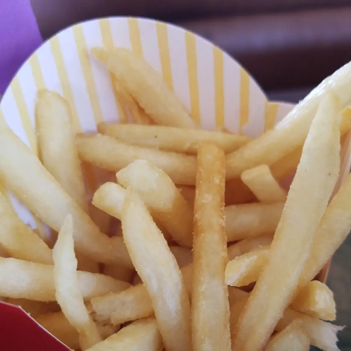 World Famous Fries