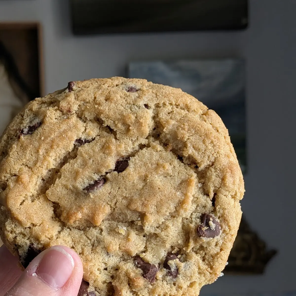 Chocolate Chip Cookie