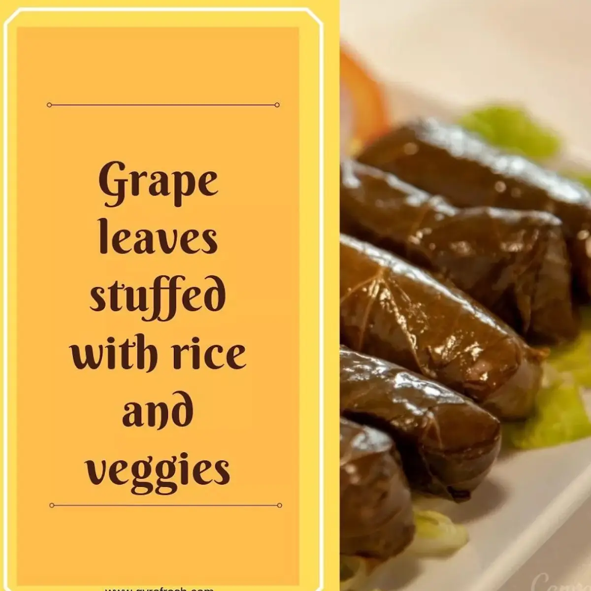 Dolma Grape Leaves Plate
