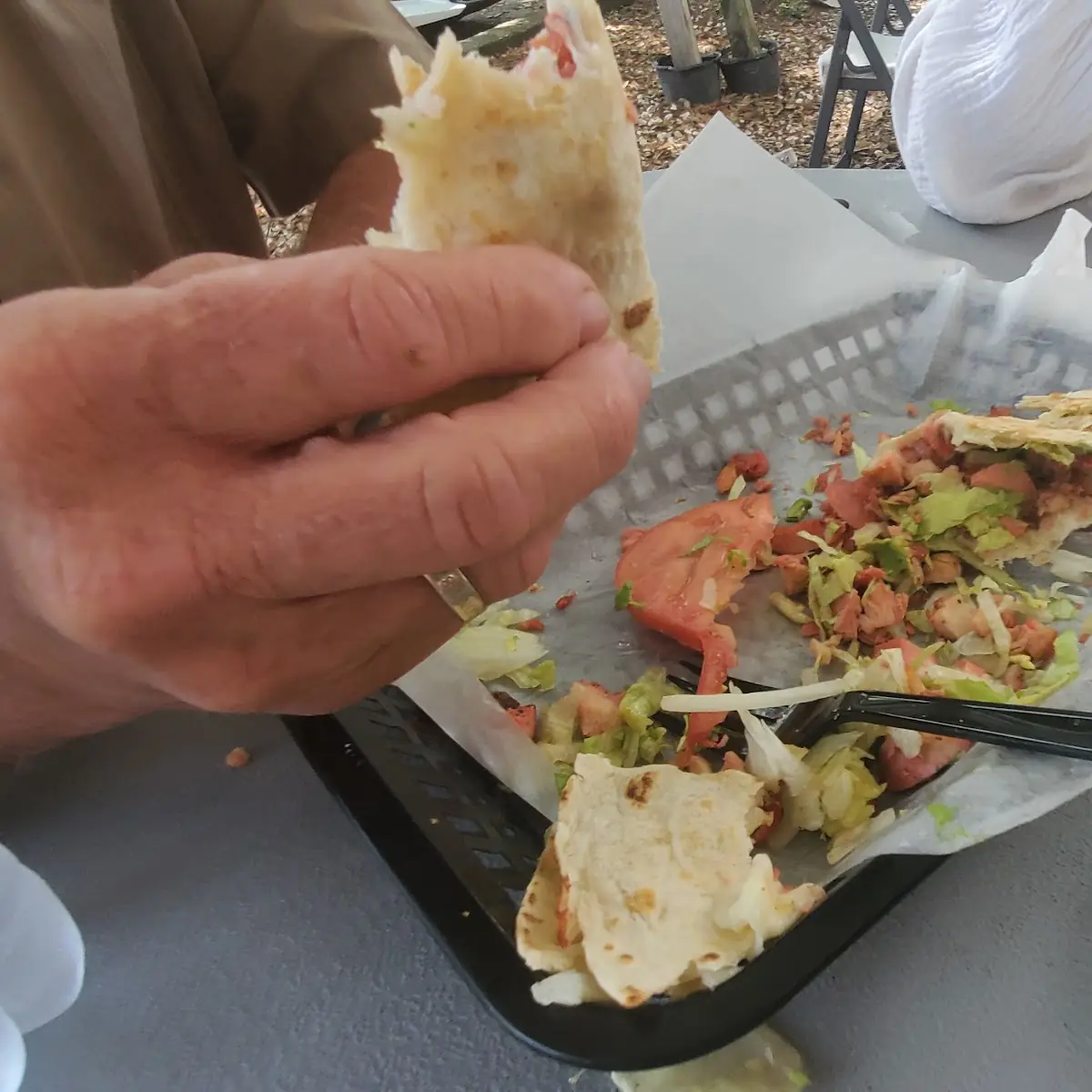 Chicken Quesadilla