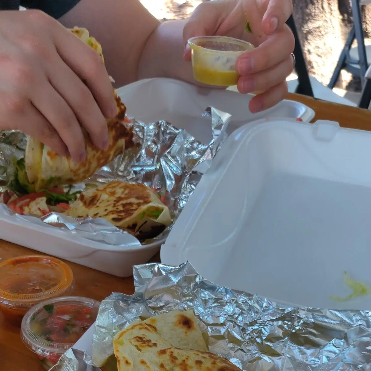 Steak Quesadilla