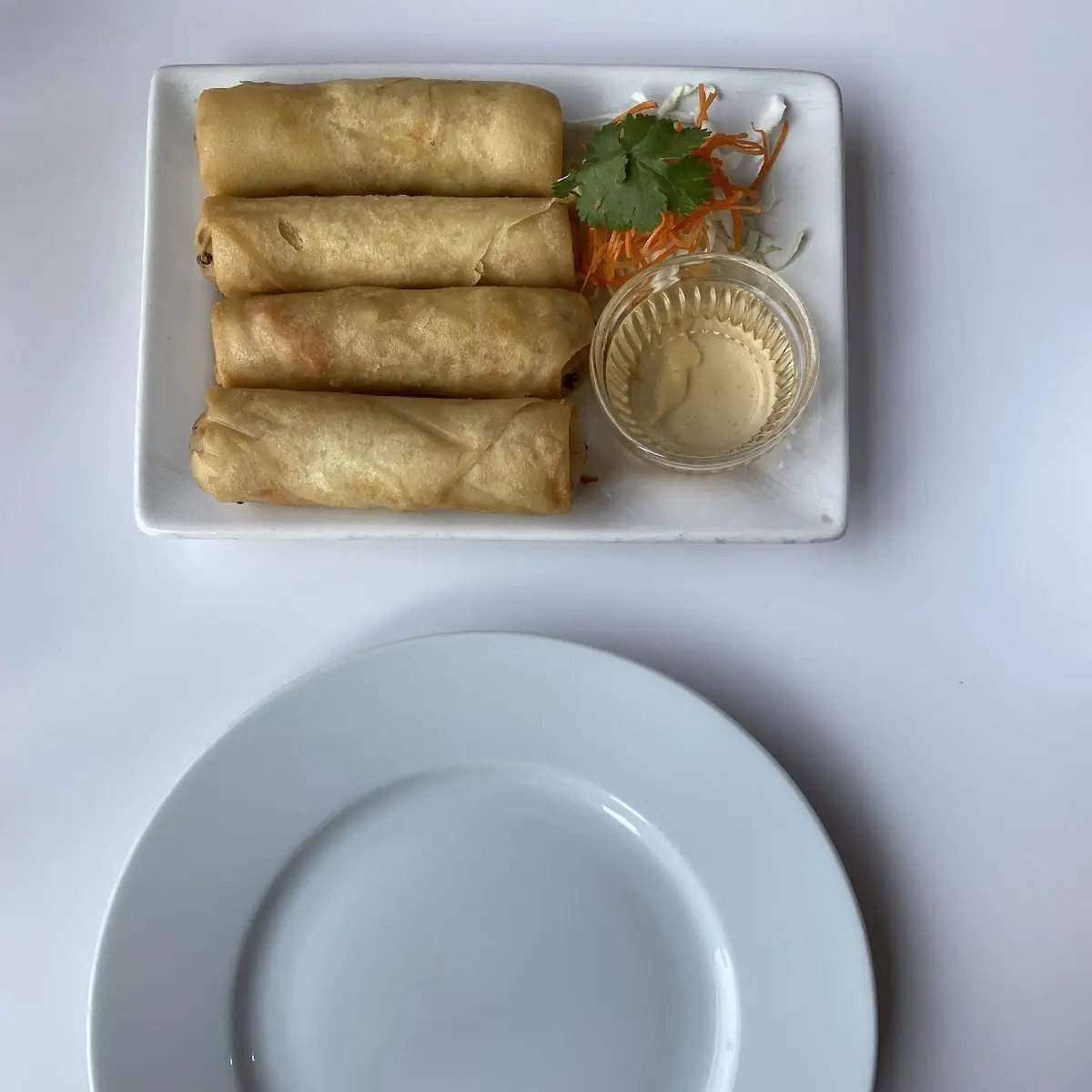 Spring Rolls