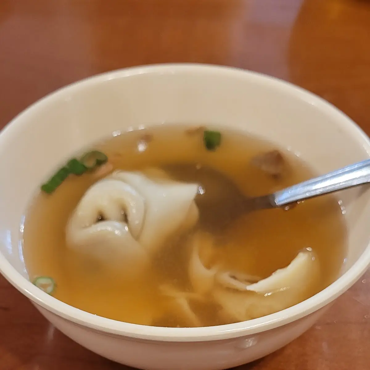 Wonton Soup