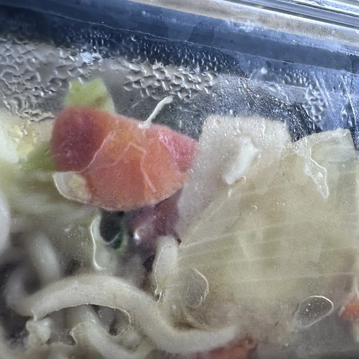 Pan Fried Noodles with Vegetables