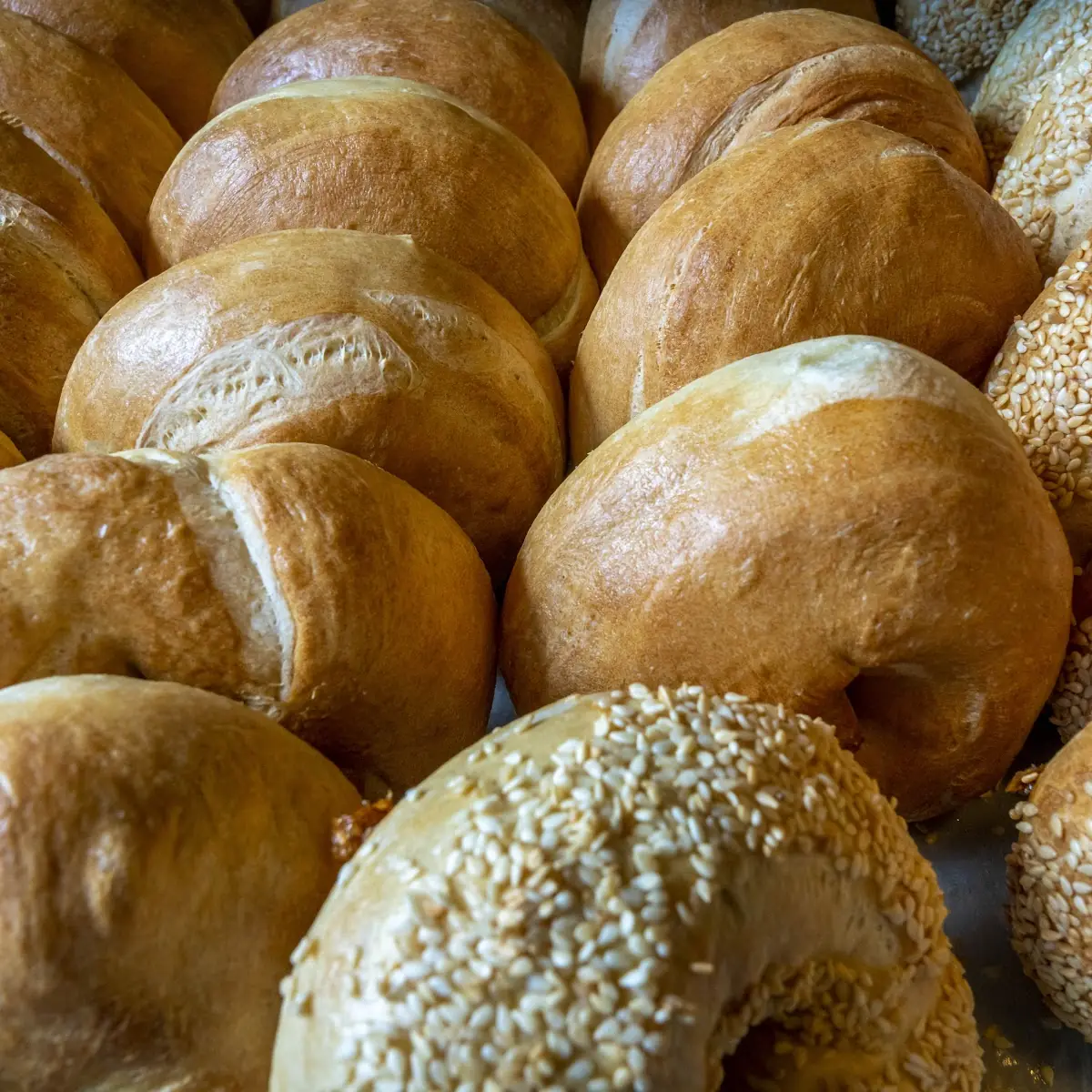 Bulk Bagels