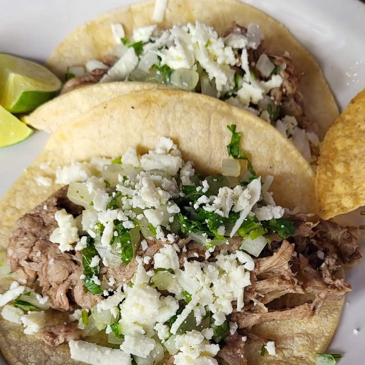 Carnitas Taco