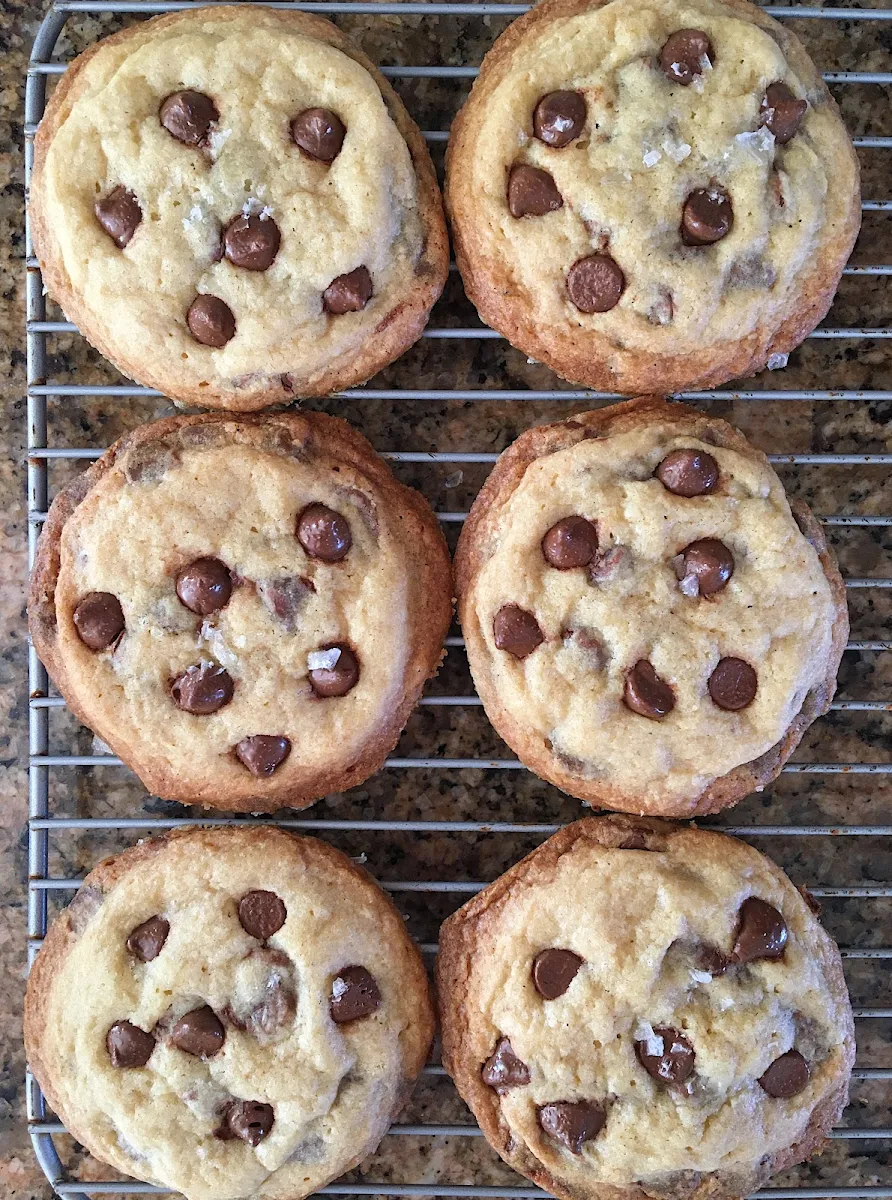 Chocolate Chip