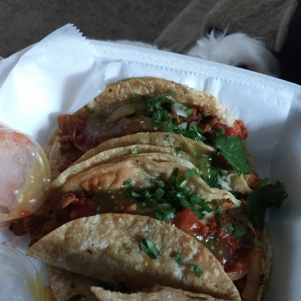 Pastor Taco