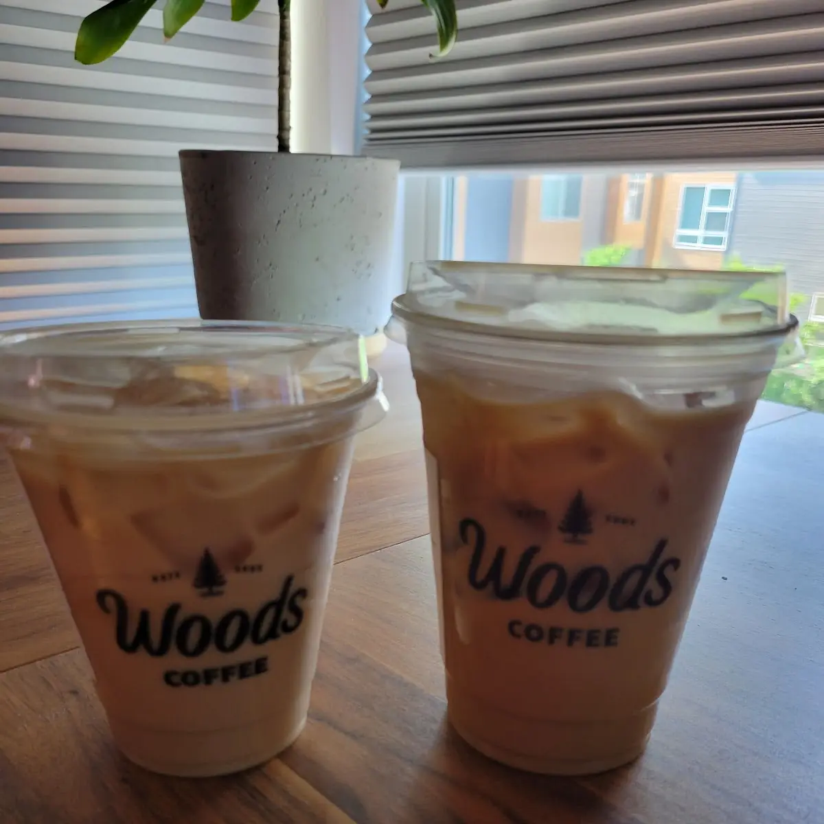 Vanilla Latte