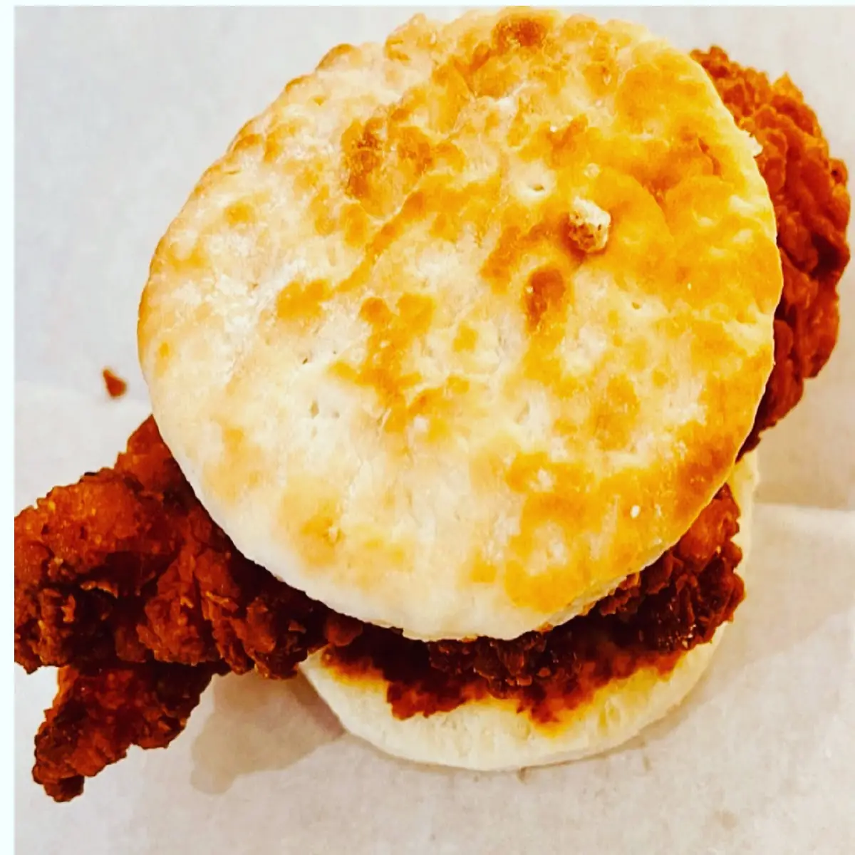 Chicken Biscuit