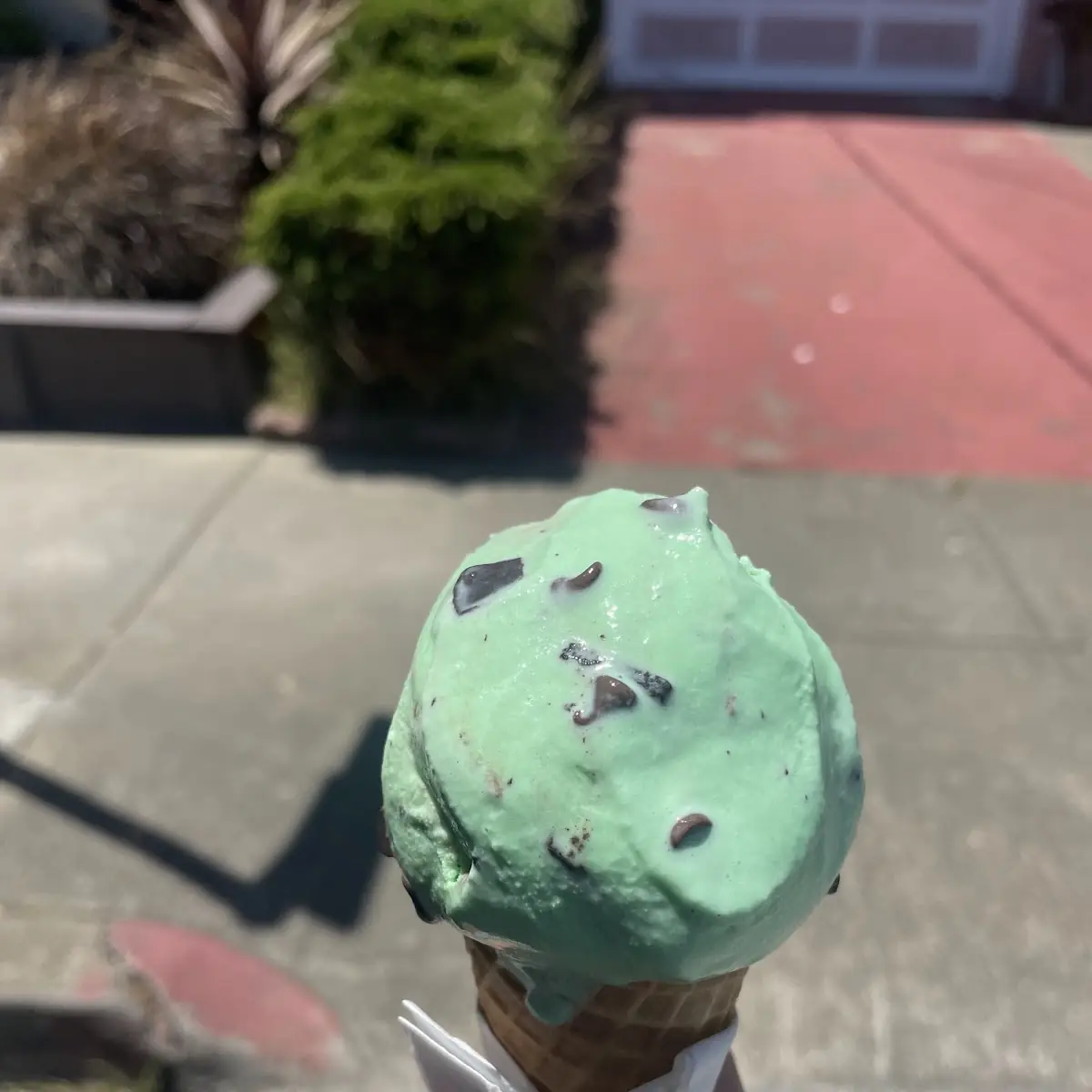 Mint Chocolate Chip