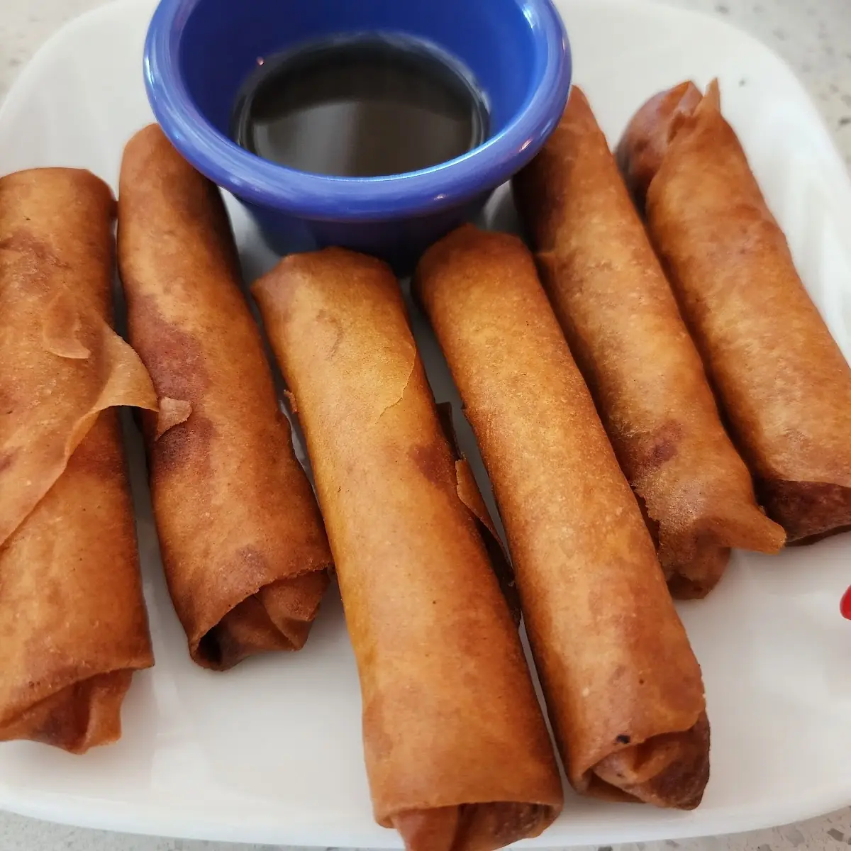 Fried Spring Rolls