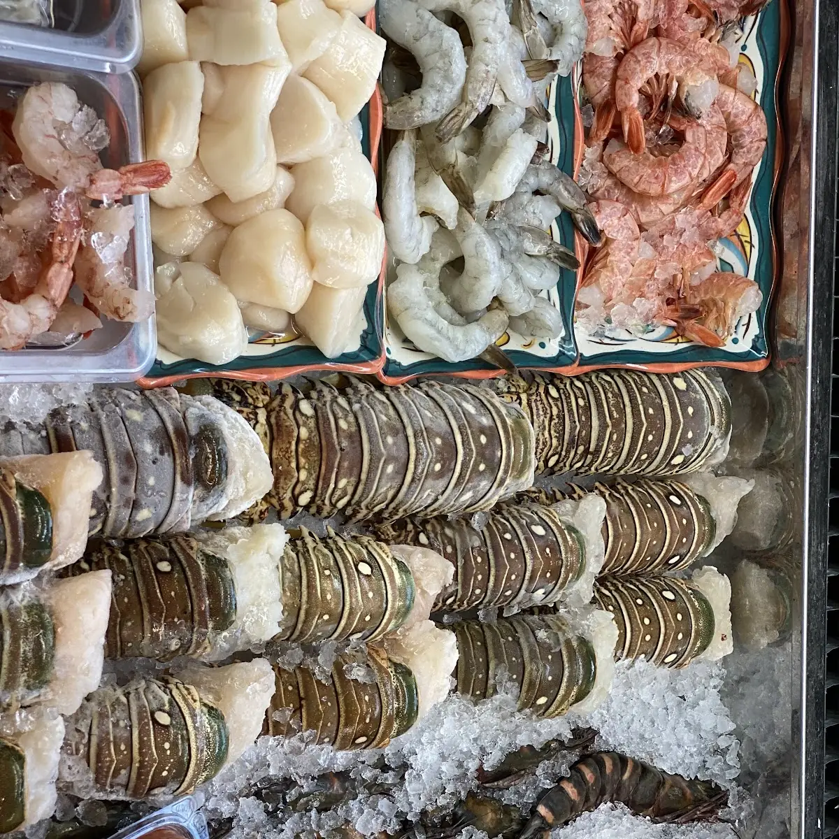 Key West Shrimp