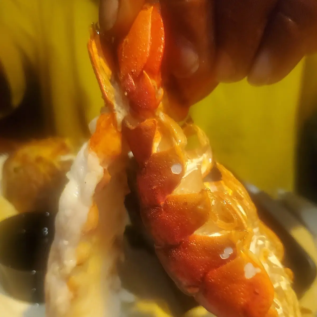 Lobster Tail
