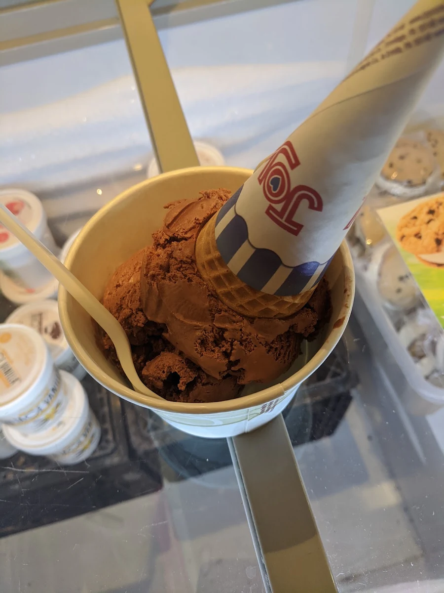 Chocolate Ice-Cream with Sugar Cone