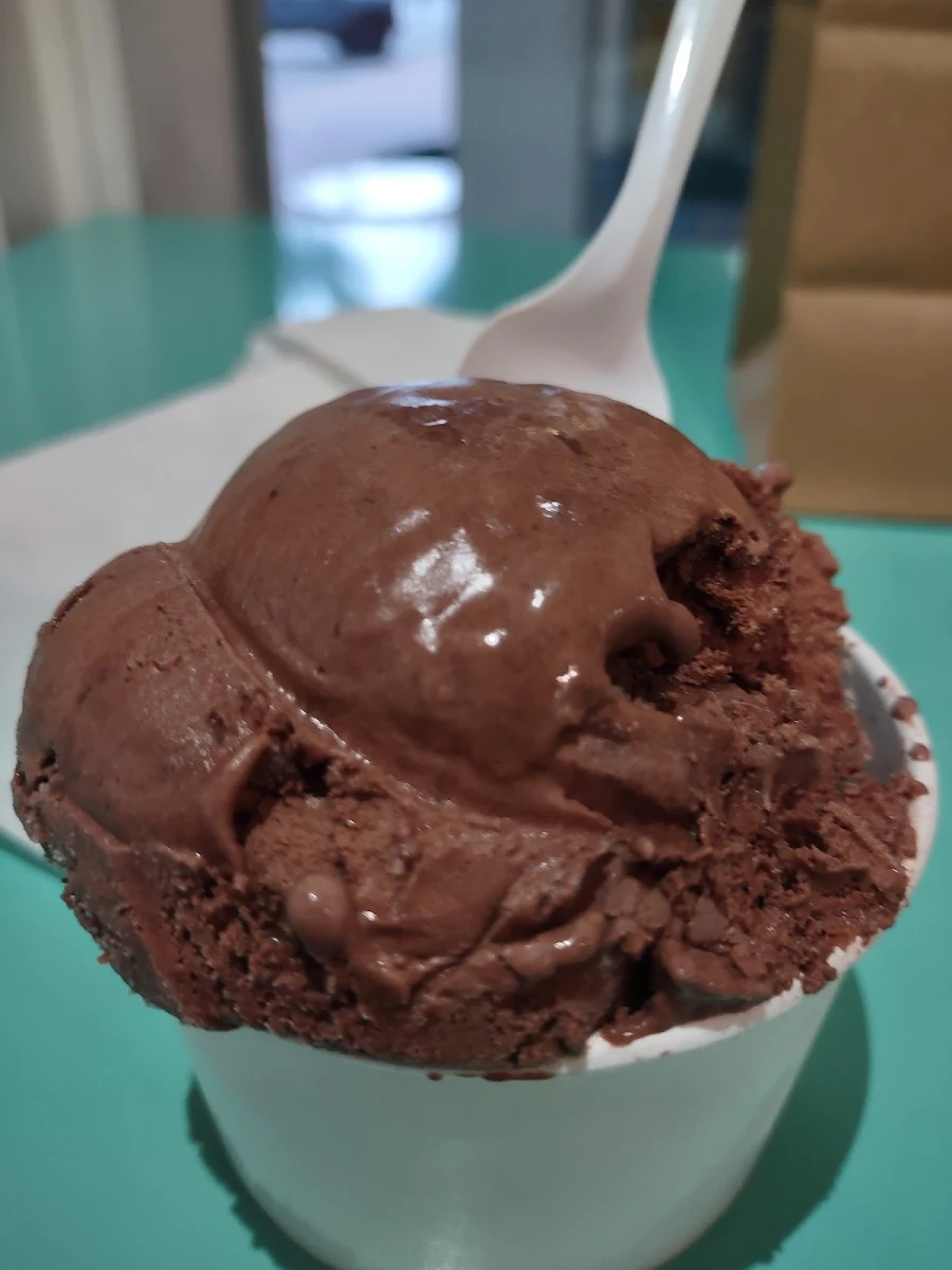Vegan Chocolate Ice Cream