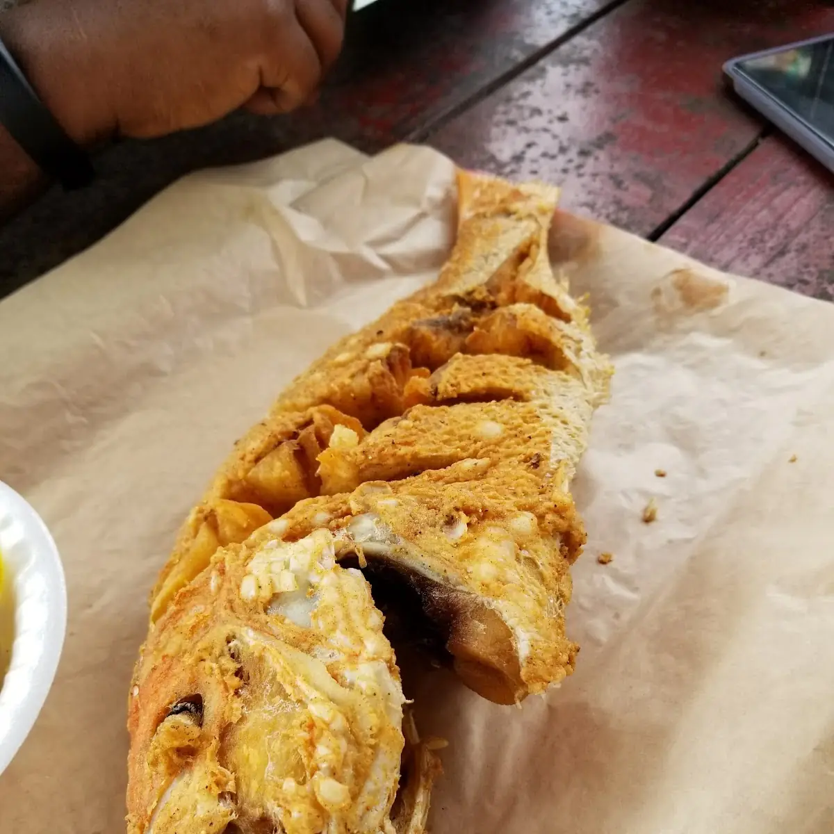Whole Red Snapper
