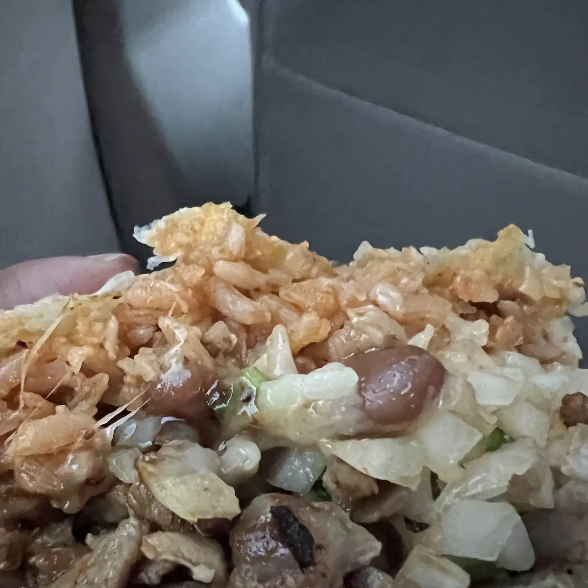 Carne Asada Burrito
