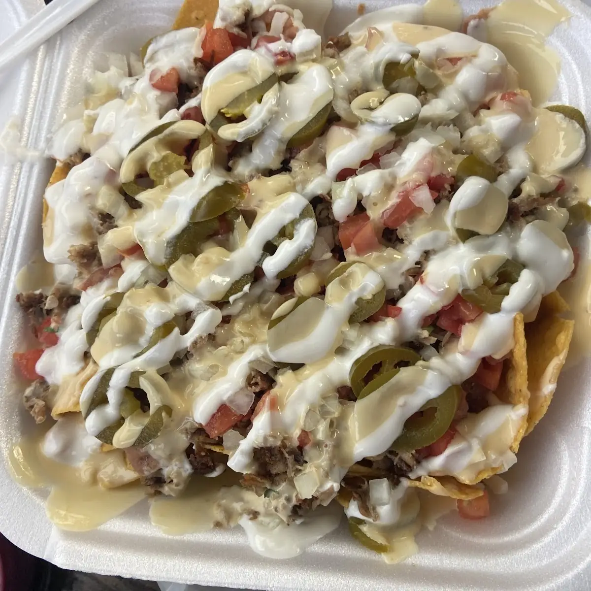 Carne Asada Fries