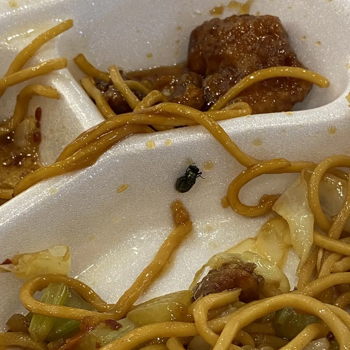 Lo Mein Noodles