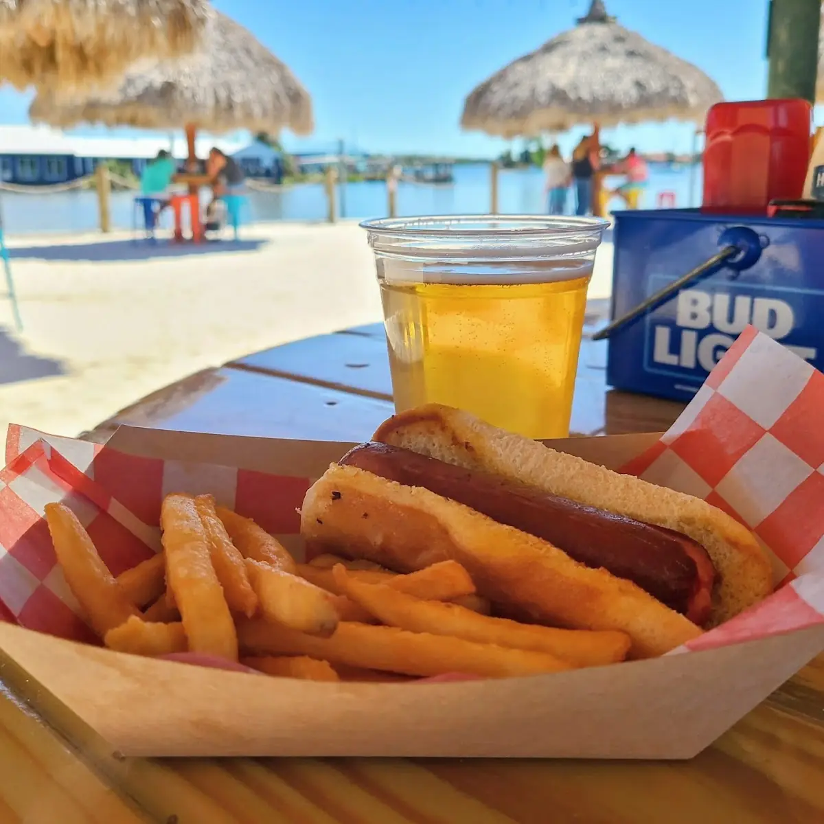 Hot Dog & Fries