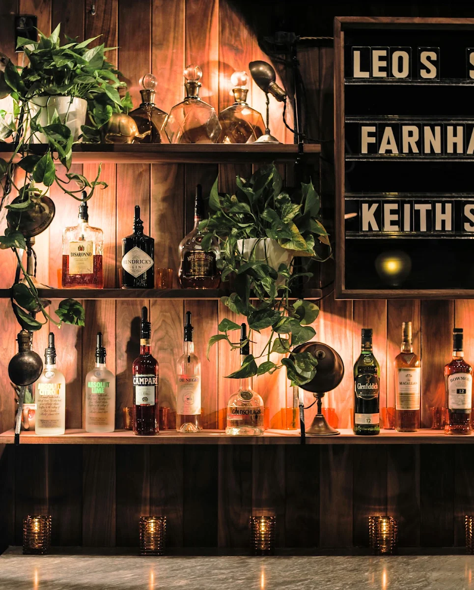 Vibe, Léo's Taproom