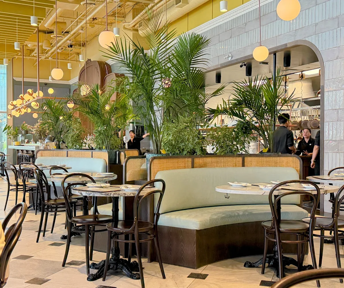 Linh Café cover