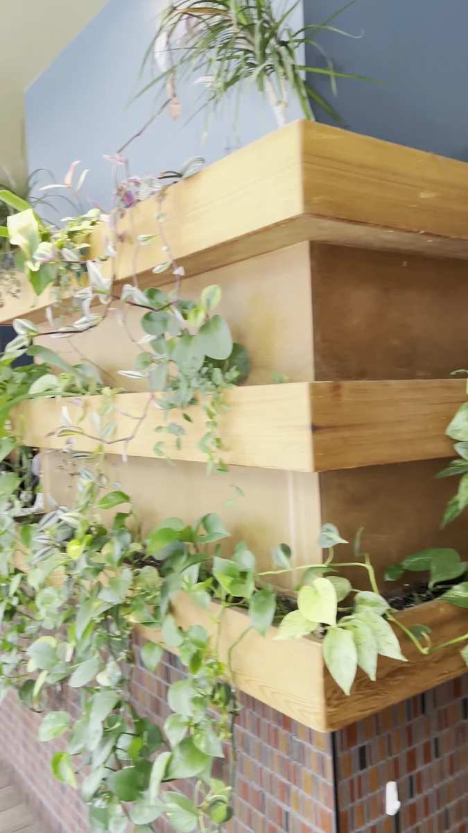 Vibe, The Coup